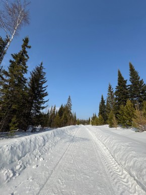 ДП Родной в Качканаре - kachkanar.yutvil.ru - фото 7