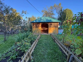 Екатеренбург сад Торгмаш, СНТ  Садовод, уч. 52 в Качканаре - kachkanar.yutvil.ru - фото 10