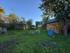 Екатеренбург сад Торгмаш, СНТ  Садовод, уч. 52 в Качканаре - kachkanar.yutvil.ru - фото 14