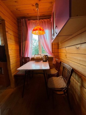 Екатеренбург сад Торгмаш, СНТ  Садовод, уч. 52 в Качканаре - kachkanar.yutvil.ru - фото 5