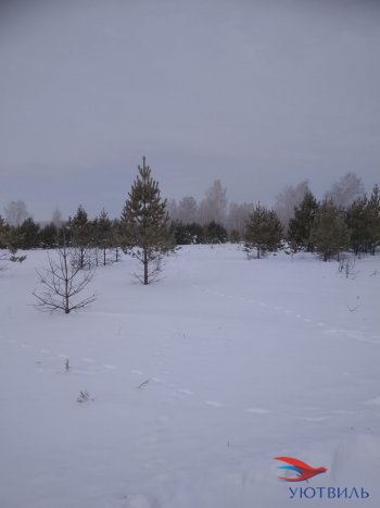 Земельный участок поселок Баженово в Качканаре - kachkanar.yutvil.ru - фото 5