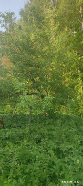 г Верхняя пышма, СНТ Мираж, уч.№ 99 в Качканаре - kachkanar.yutvil.ru - фото 10