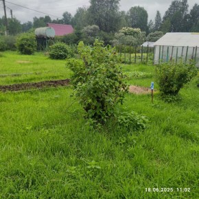 г Верхняя пышма, СНТ Мираж, уч.№ 99 в Качканаре - kachkanar.yutvil.ru - фото 11