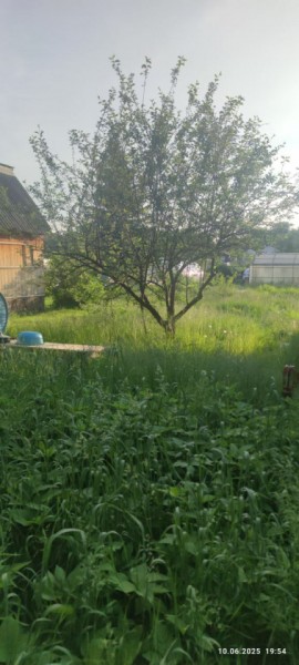 г Верхняя пышма, СНТ Мираж, уч.№ 99 в Качканаре - kachkanar.yutvil.ru - фото 19