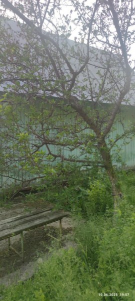г Верхняя пышма, СНТ Мираж, уч.№ 99 в Качканаре - kachkanar.yutvil.ru - фото 26