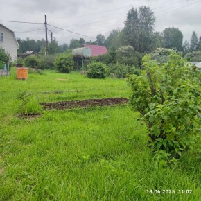 г Верхняя пышма, СНТ Мираж, уч.№ 99 в Качканаре - kachkanar.yutvil.ru - фото 8