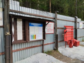 г.Верхняя Пышма СНТ №5 Березки в кв. 22 Среднеуральского Уралмашевского лесхоза в Качканаре - kachkanar.yutvil.ru - фото 18