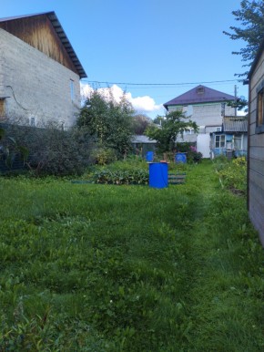 Коллективный сад номер 7, участок 58 в Качканаре - kachkanar.yutvil.ru - фото 26
