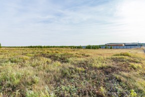 Российская Федерация, Свердловская область, Сысертский городской округ, территория садоводческого некоммерческого товарищества Бобровские дачи, улица Каштановая, земельный участок № 38 в Качканаре - kachkanar.yutvil.ru - фото 24