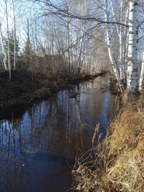 СНТ Берёзка в Качканаре - kachkanar.yutvil.ru - фото 14