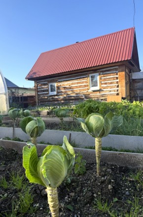 СНТ Дорожник, 97 в Качканаре - kachkanar.yutvil.ru - фото 19