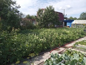 СНТ Медик-2 в Качканаре - kachkanar.yutvil.ru - фото 6