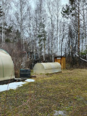 СНТ Родники в Качканаре - kachkanar.yutvil.ru - фото 14 СНТ Родники в Качканаре - kachkanar.yutvil.ru - фото 14