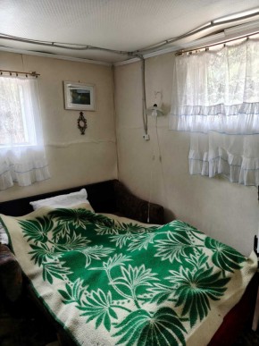 СНТ Родники в Качканаре - kachkanar.yutvil.ru - фото 10