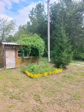 СНТ Родники в Качканаре - kachkanar.yutvil.ru - фото 1 СНТ Родники в Качканаре - kachkanar.yutvil.ru - фото 1