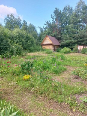 СНТ Родники в Качканаре - kachkanar.yutvil.ru - фото 2 СНТ Родники в Качканаре - kachkanar.yutvil.ru - фото 2