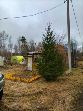 СНТ Родники в Качканаре - kachkanar.yutvil.ru - фото 5