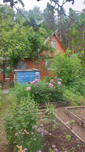СНТ Садовод-24 в Качканаре - kachkanar.yutvil.ru