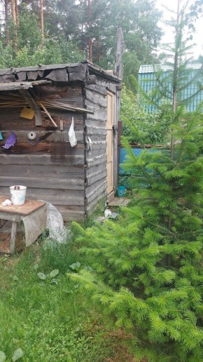 СНТ Садовод-24 в Качканаре - kachkanar.yutvil.ru - фото 13