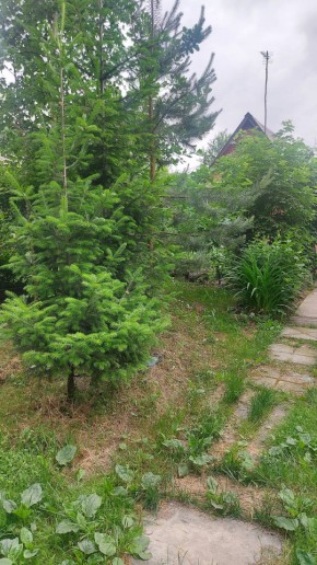 СНТ Садовод-24 в Качканаре - kachkanar.yutvil.ru - фото 15