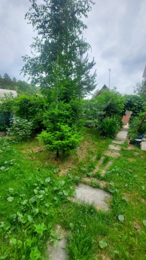 СНТ Садовод-24 в Качканаре - kachkanar.yutvil.ru - фото 16