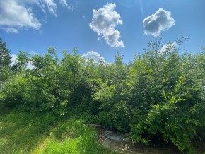 СПК Юбилейный, уч. 9 в Качканаре - kachkanar.yutvil.ru - фото 9