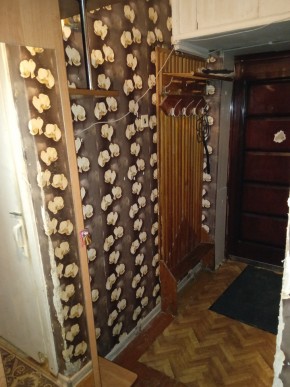 ул. Бажова,11 в Качканаре - kachkanar.yutvil.ru - фото 9 ул. Бажова,11 в Качканаре - kachkanar.yutvil.ru - фото 9