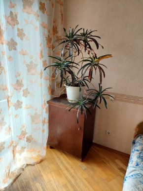 ул. Индустрии,29 в Качканаре - kachkanar.yutvil.ru - фото 4 ул. Индустрии,29 в Качканаре - kachkanar.yutvil.ru - фото 4