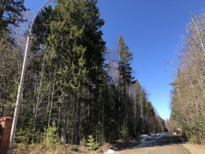 ул. Калиновая,9 в Качканаре - kachkanar.yutvil.ru - фото 3