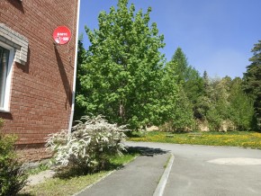ул. Сосновая, 8 в Качканаре - kachkanar.yutvil.ru - фото 25