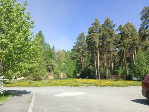 ул. Сосновая, 8 в Качканаре - kachkanar.yutvil.ru - фото 26