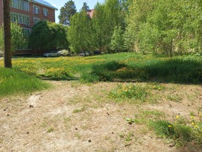 ул. Сосновая, 8 в Качканаре - kachkanar.yutvil.ru - фото 33