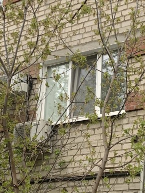 ул. Таганская,8 в Качканаре - kachkanar.yutvil.ru - фото 14