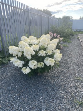 ул. Весенняя,12 в Качканаре - kachkanar.yutvil.ru - фото 20